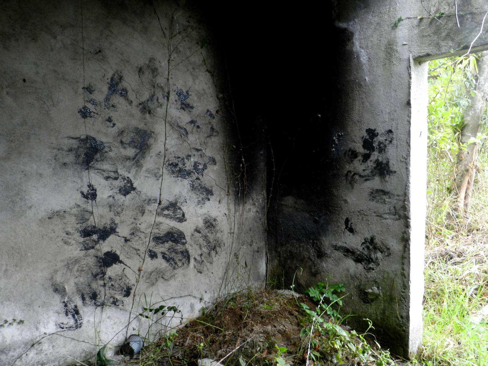 Obra 184, fragmento 4 de 13