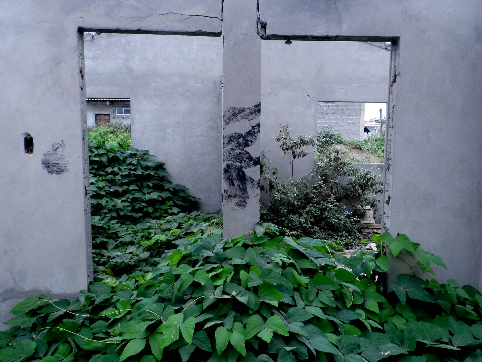 Obra 184, fragmento 1 de 13