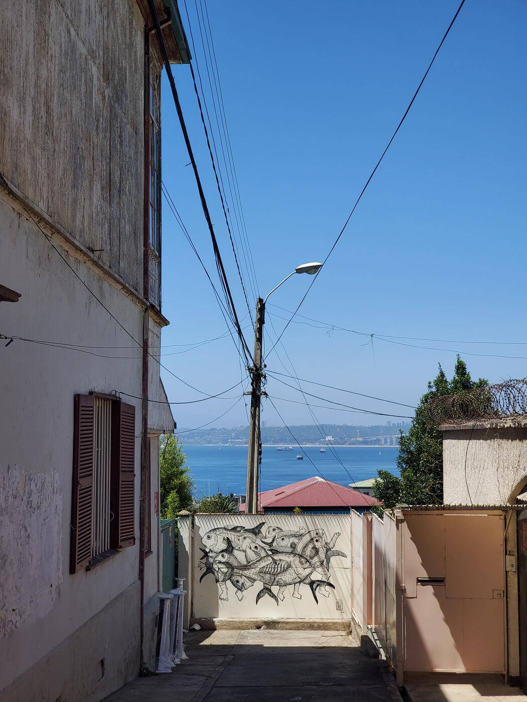 Obra 111, fragmento 1 de 1