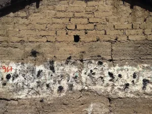 Fragmento 9