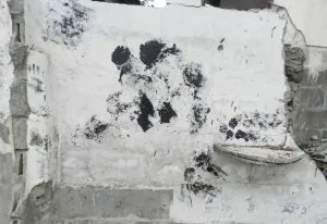 Fragmento 3