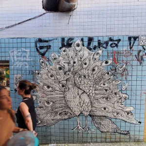 Fragmento 1