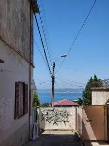 Fragmento 1